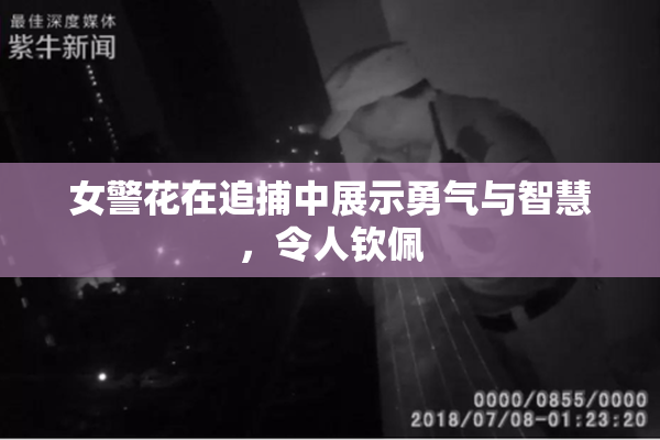 女警花在追捕中展示勇气与智慧，令人钦佩