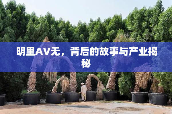 明里AV无，背后的故事与产业揭秘