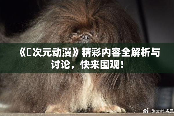 《囧次元动漫》精彩内容全解析与讨论，快来围观！