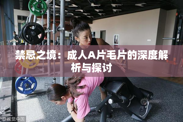 禁忌之境：成人A片毛片的深度解析与探讨