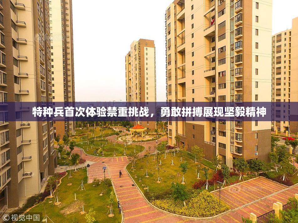 特种兵首次体验禁重挑战，勇敢拼搏展现坚毅精神