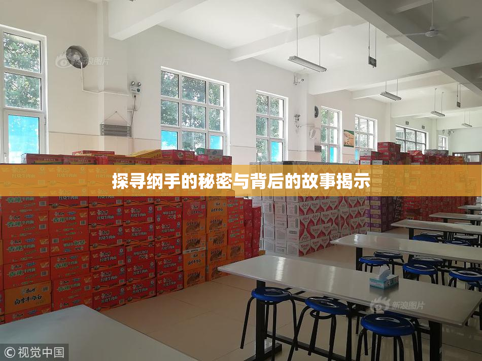 探寻纲手的秘密与背后的故事揭示