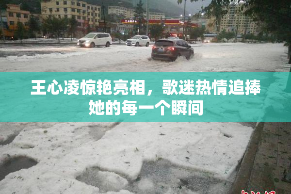 王心凌惊艳亮相，歌迷热情追捧她的每一个瞬间
