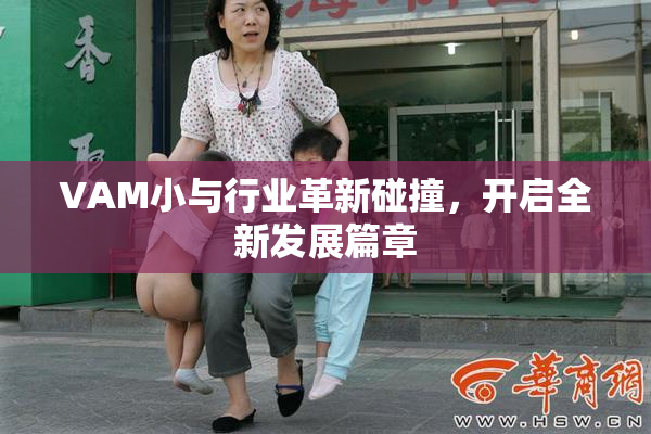 VAM小与行业革新碰撞，开启全新发展篇章