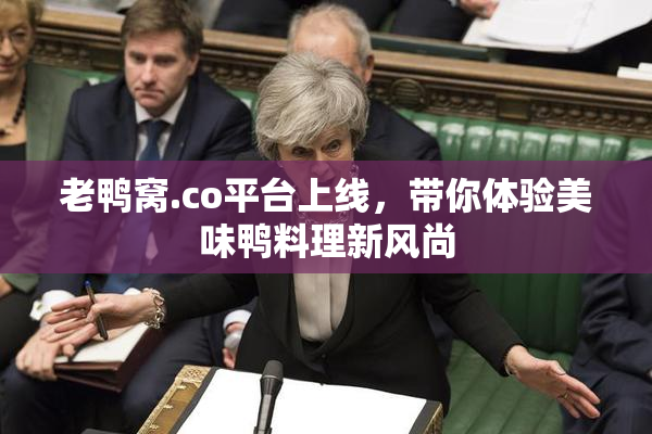 老鸭窝.co平台上线，带你体验美味鸭料理新风尚
