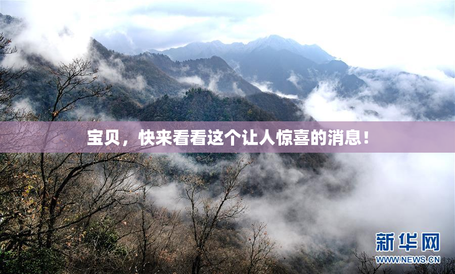 宝贝，快来看看这个让人惊喜的消息！