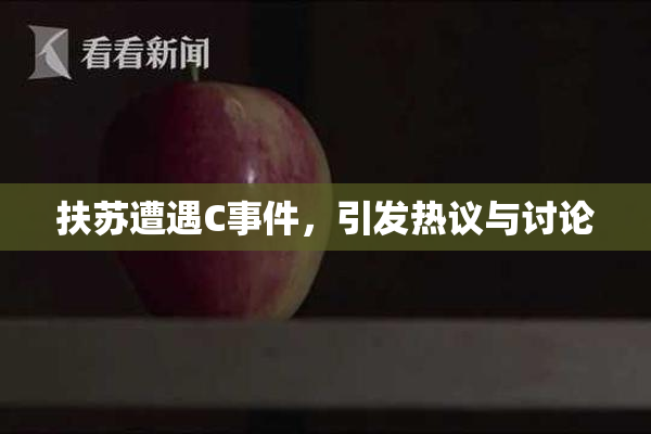 扶苏遭遇C事件，引发热议与讨论