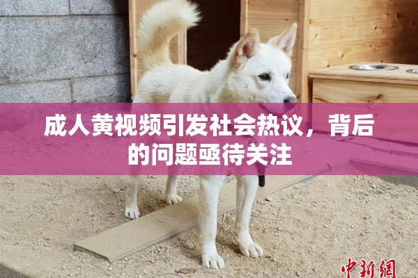 成人黄视频引发社会热议，背后的问题亟待关注