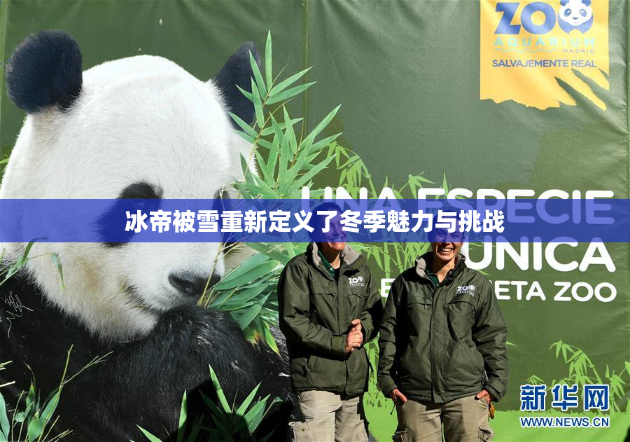 冰帝被雪重新定义了冬季魅力与挑战