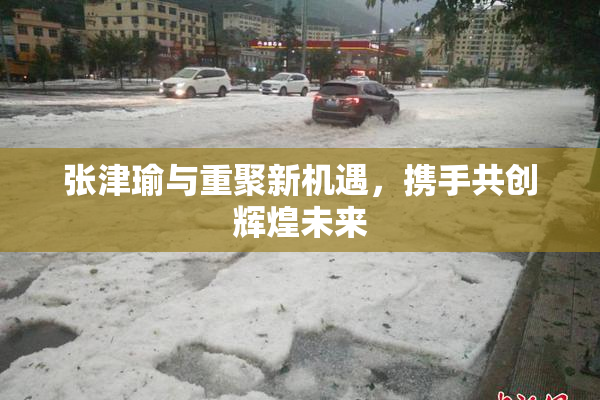 张津瑜与重聚新机遇，携手共创辉煌未来