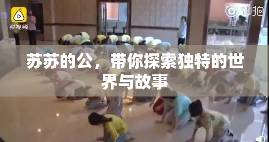 苏苏的公，带你探索独特的世界与故事