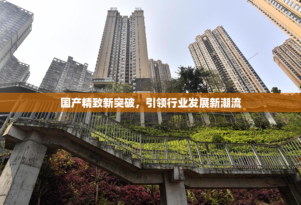 国产精致新突破，引领行业发展新潮流