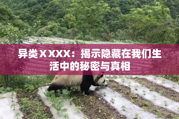 异类ⅩXXX：揭示隐藏在我们生活中的秘密与真相