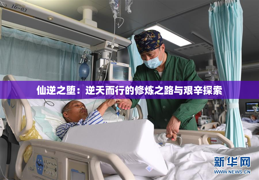 仙逆之堕：逆天而行的修炼之路与艰辛探索