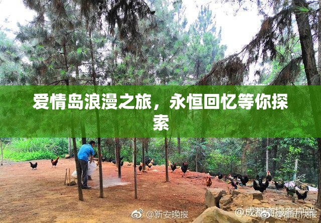 爱情岛浪漫之旅，永恒回忆等你探索