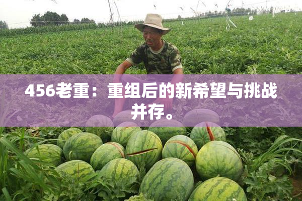 456老重：重组后的新希望与挑战并存。
