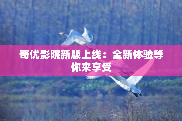 奇优影院新版上线：全新体验等你来享受