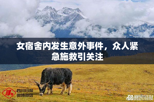 女宿舍内发生意外事件，众人紧急施救引关注