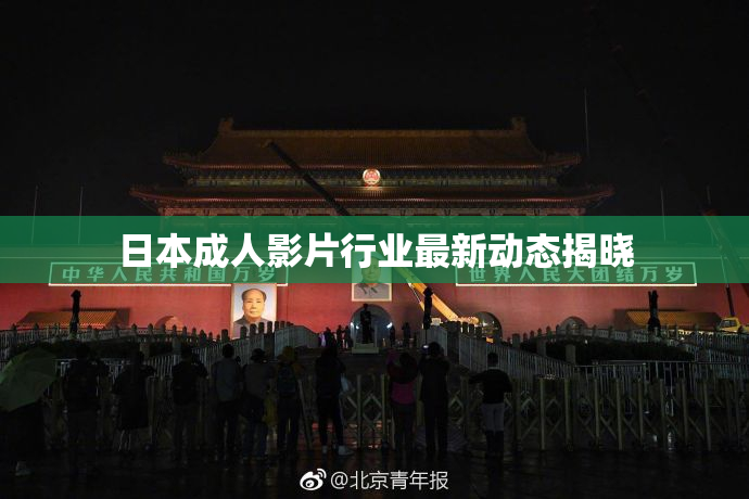 日本成人影片行业最新动态揭晓