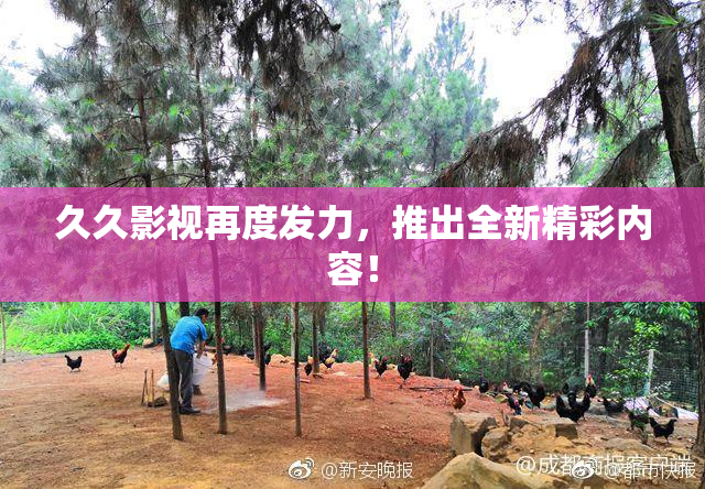 久久影视再度发力，推出全新精彩内容！