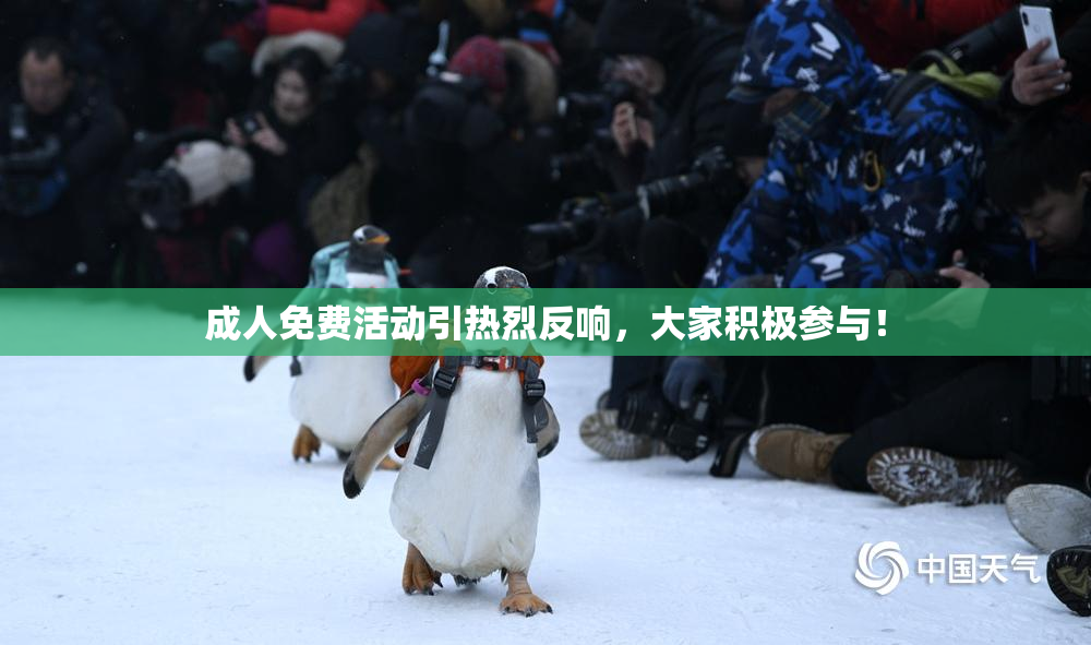 成人免费活动引热烈反响，大家积极参与！