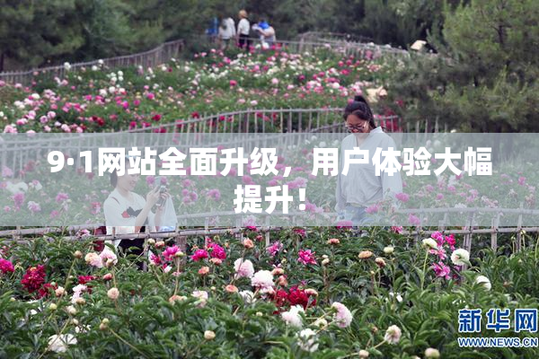 9·1网站全面升级，用户体验大幅提升！