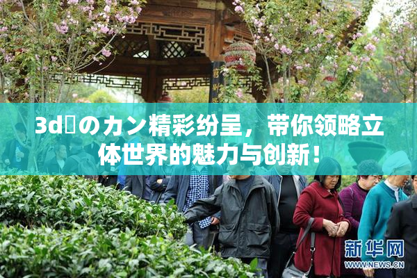 3d姉のカン精彩纷呈，带你领略立体世界的魅力与创新！