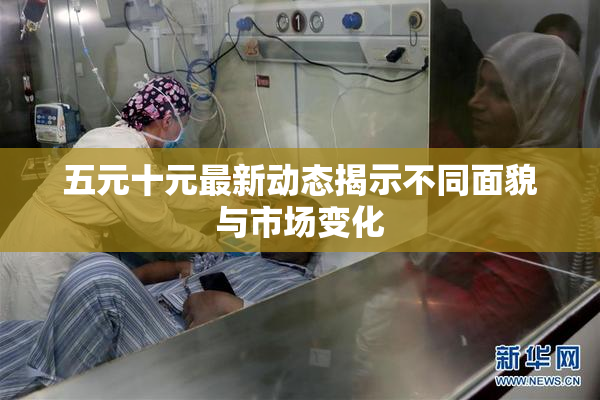 五元十元最新动态揭示不同面貌与市场变化