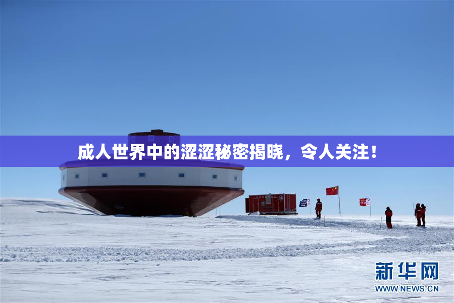 成人世界中的涩涩秘密揭晓，令人关注！