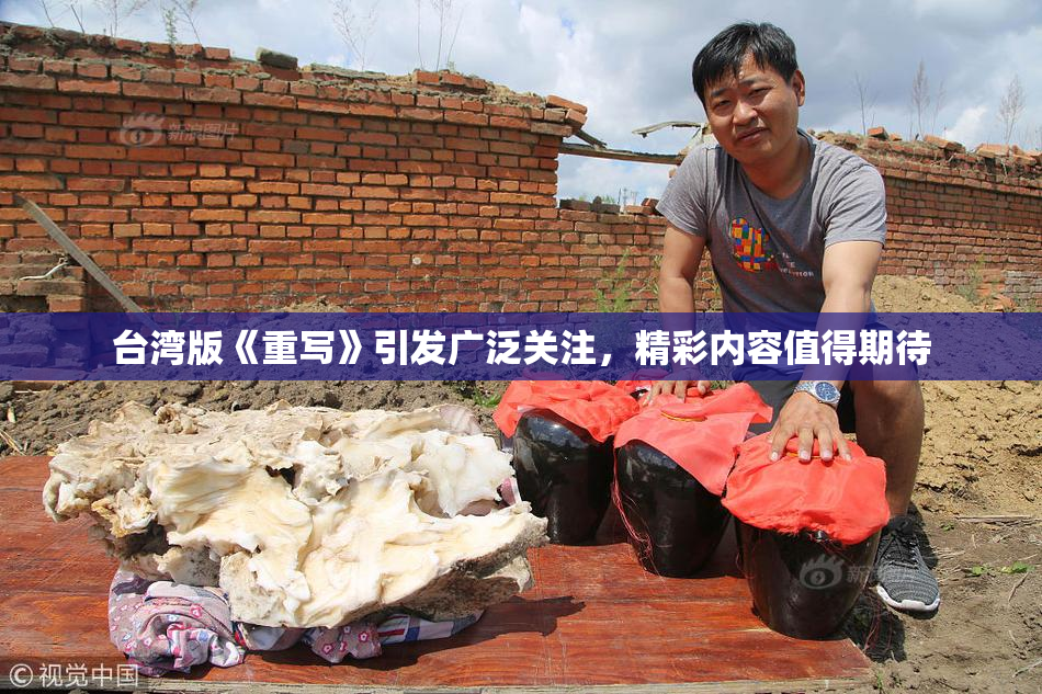 台湾版《重写》引发广泛关注，精彩内容值得期待