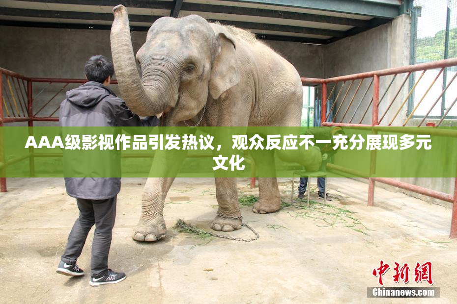 AAA级影视作品引发热议，观众反应不一充分展现多元文化