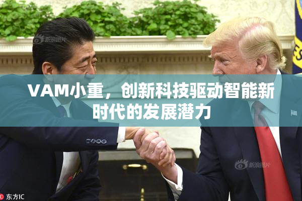 VAM小重，创新科技驱动智能新时代的发展潜力