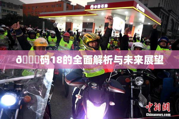 🈚码18的全面解析与未来展望
