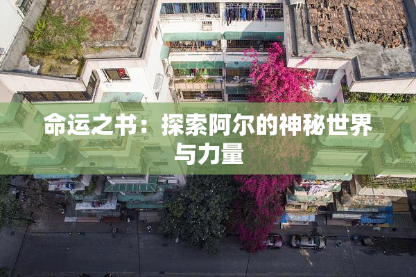 命运之书：探索阿尔的神秘世界与力量