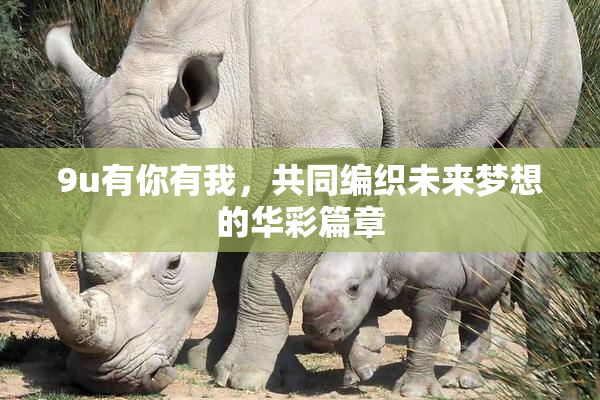 9u有你有我，共同编织未来梦想的华彩篇章