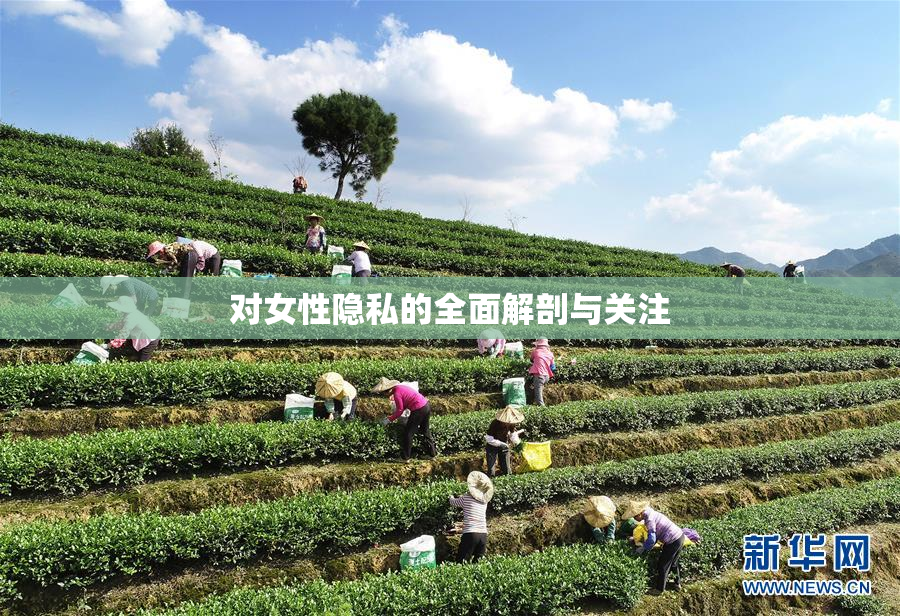 对女性隐私的全面解剖与关注
