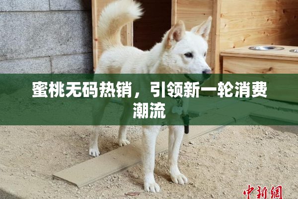 蜜桃无码热销，引领新一轮消费潮流