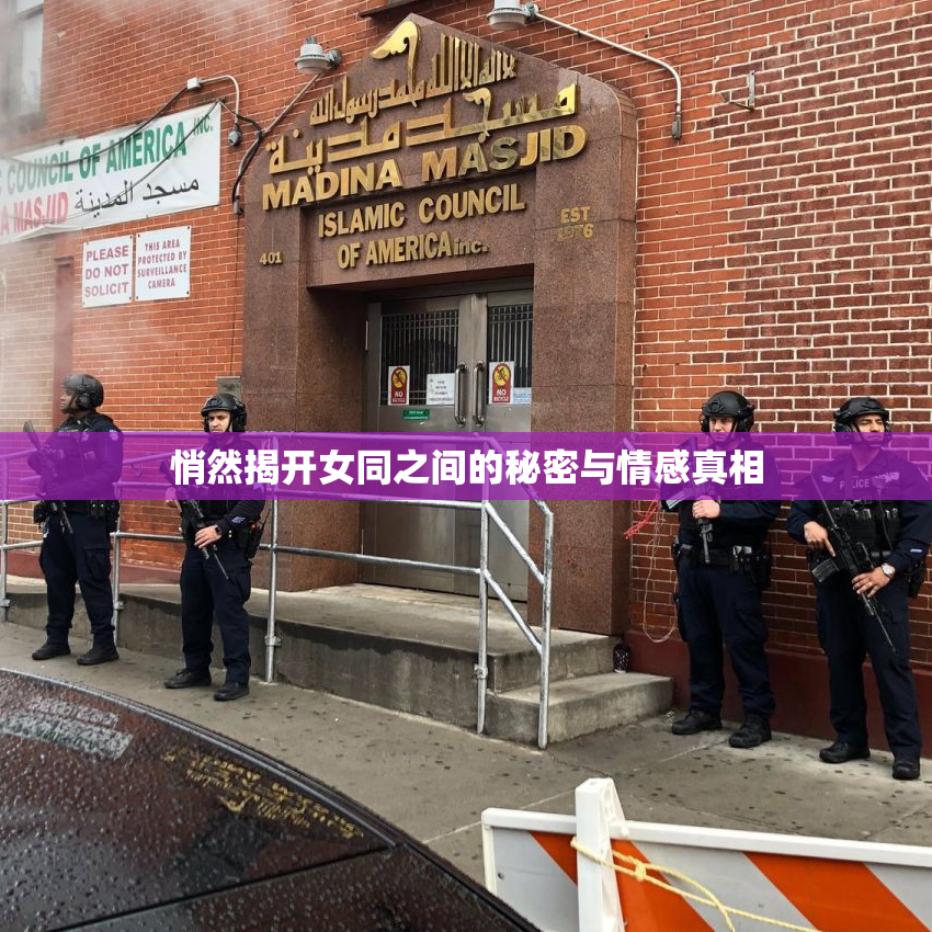 悄然揭开女同之间的秘密与情感真相