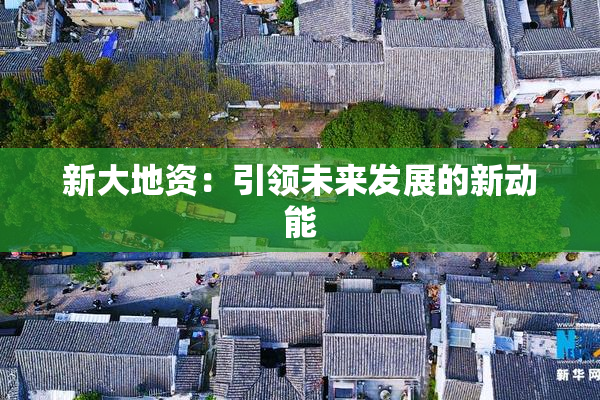 新大地资：引领未来发展的新动能