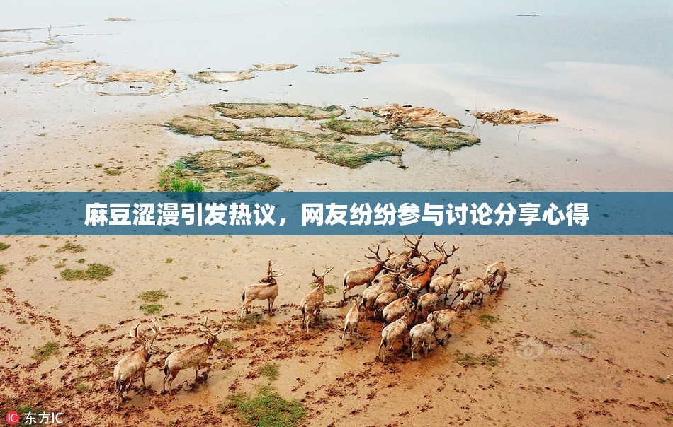 麻豆涩漫引发热议，网友纷纷参与讨论分享心得