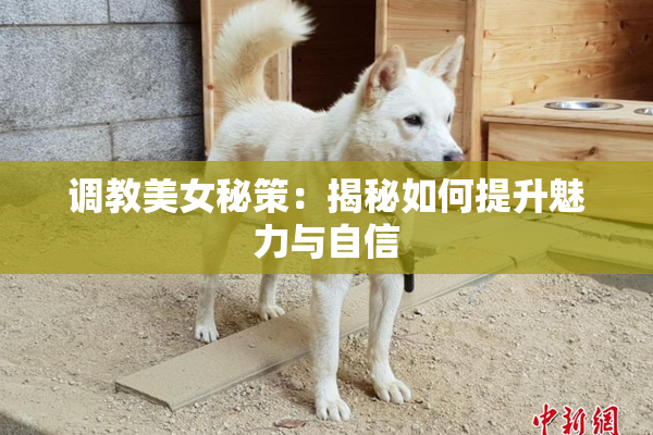 调教美女秘策：揭秘如何提升魅力与自信