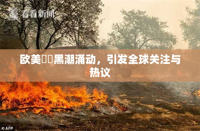 欧美❌‌黑潮涌动，引发全球关注与热议