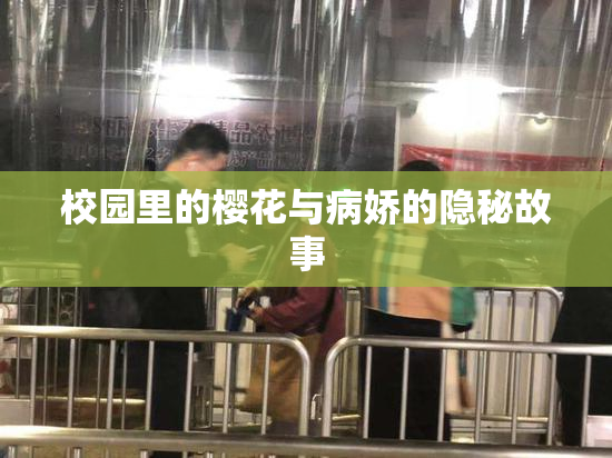 校园里的樱花与病娇的隐秘故事