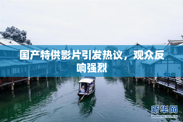国产特供影片引发热议，观众反响强烈