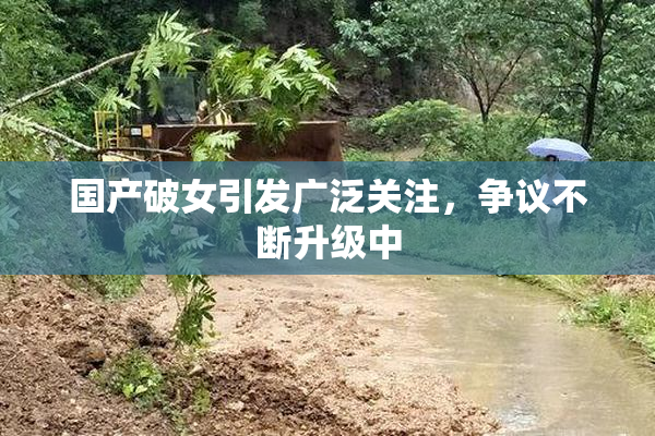 国产破女引发广泛关注，争议不断升级中