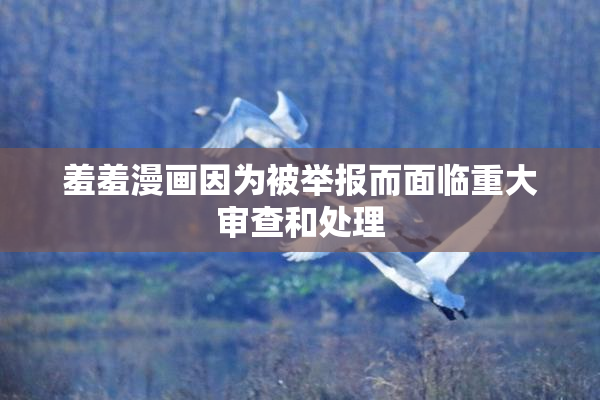 羞羞漫画因为被举报而面临重大审查和处理
