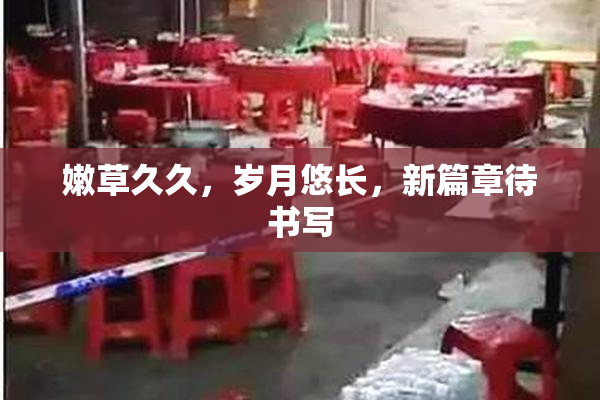 嫩草久久，岁月悠长，新篇章待书写