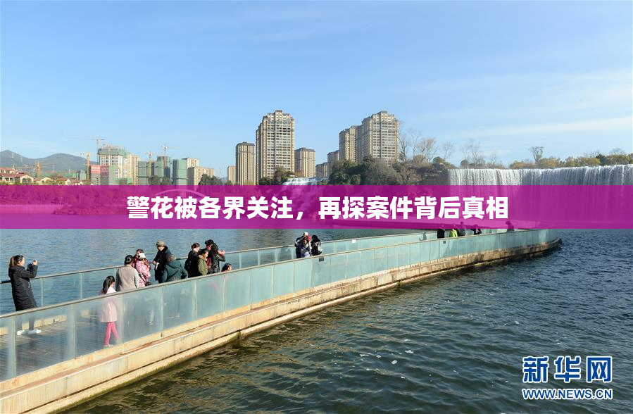 警花被各界关注，再探案件背后真相