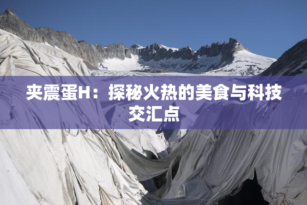 夹震蛋H：探秘火热的美食与科技交汇点