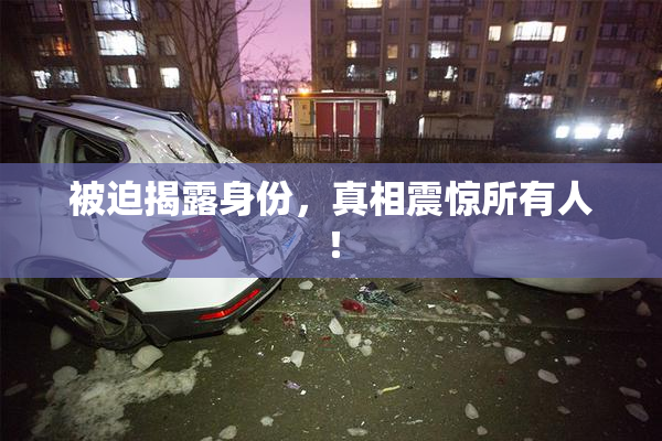 被迫揭露身份，真相震惊所有人！